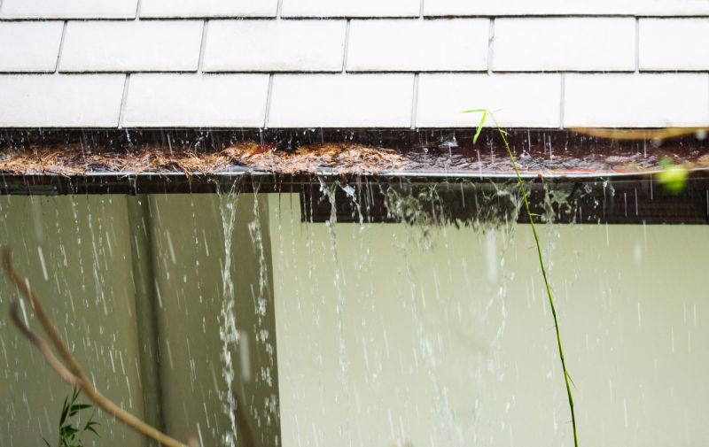 Rainwater Management