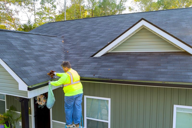 Gutter Maintenance Experts